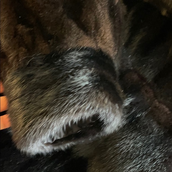 Christian Dior genuine natural mink fur coat - Picture 15 of 16